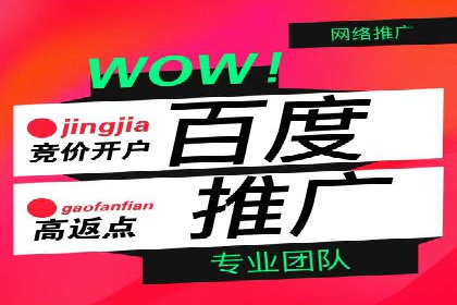 百度推广平台在教育培训行业的应用案例